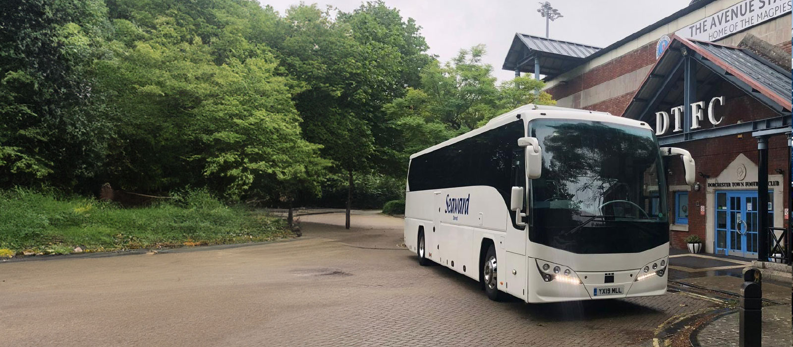 sports teams and events